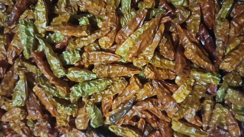 Cabe Kering Biochar 