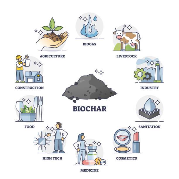 Mengapa Biochar Mampu Memperbaiki Kondisi Tanah ?